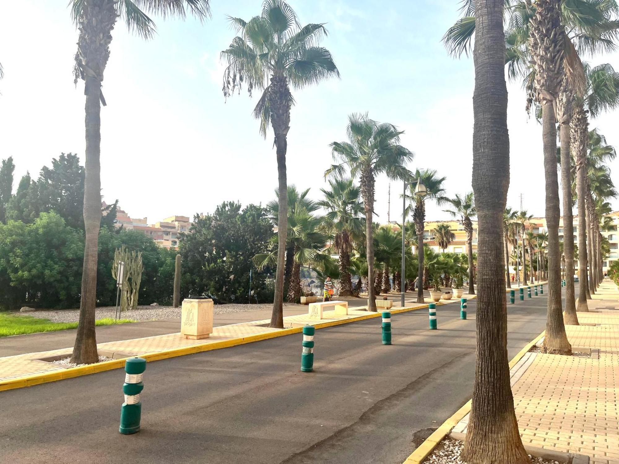 Amplio De 3 Con Piscina, Pista De Padel, Futbol Y Garaje Cubierto 2 Coches En Altas Entinas * Almerimar